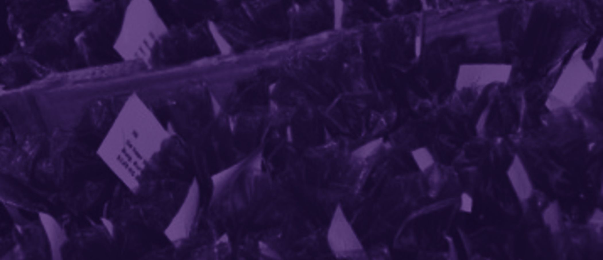 Volontario gemeente Stein